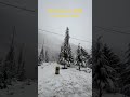 LIVE SNOWFALL IN MANALI ❄️||  #shorts #manalitrip #manali #snow #shortvideo