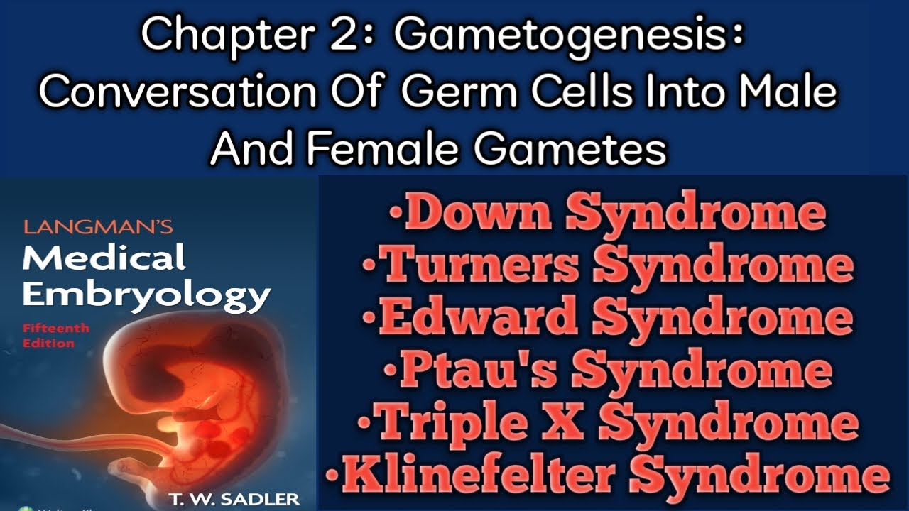 Embryology Chapter 2: Gametogenesis || Down syndrome,Turner Syndrome Trisomy 13,18 