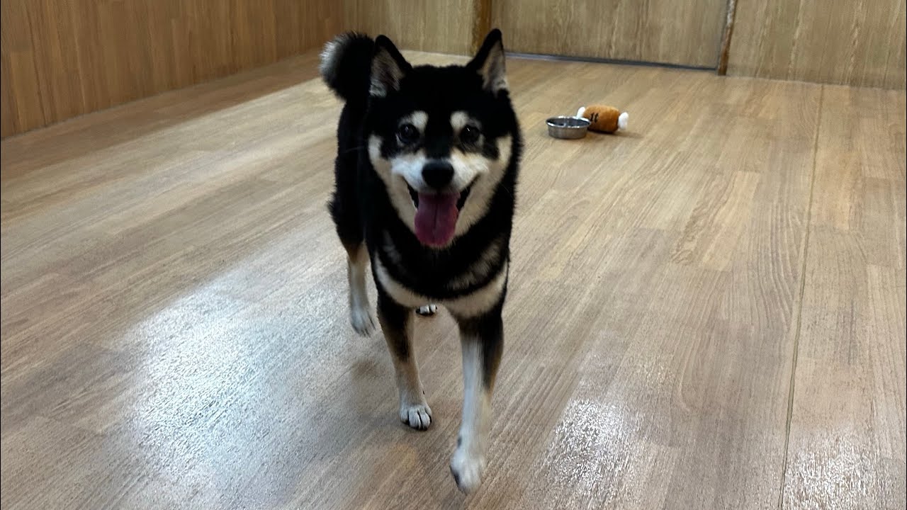 結心ちゃん