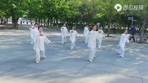 Tám phương pháp và năm bước Thái Cực Quyền | Thái Cực