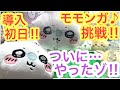 Chiikawa A Miracle Will Happen On The First Day Of The Chiikawa Flying Squirrel Dararan BIG Plu Chiikawa A Miracle Will Happen On The First Day Of The Chiikawa Flying Squirrel Dararan BIG Plu
