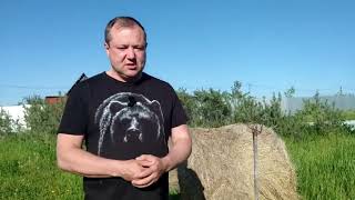 Депутат заксобрания Елена Пензина опубликовала личный номер телефона журналиста НГС Дмитрия Мамаева.