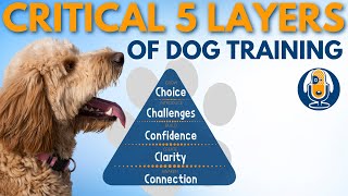 The 5 Critical Dog Training Layers for Confidence with Anything #21