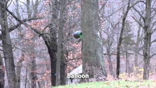 Sniper Shot Of Balloon And Match At 82Ft With 2W Green Laser!