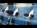 One Ocean (Full Show) at SeaWorld San Diego (8/30/15)