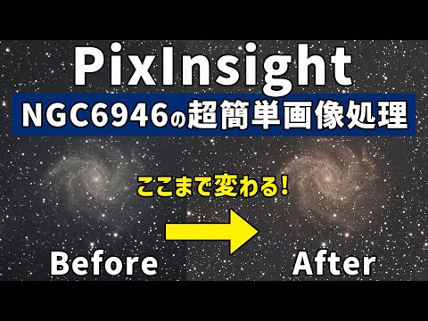 書込、背折れ、8ページ分切抜欠損あり命理経典名著 天星斗數秘笈 文源書局 中国語 楽天市場】【楽天ランキング1位入賞】ホチキス ステープラー 中