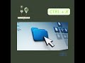 Ctrl + X: The Faster Way to Move Files on Windows