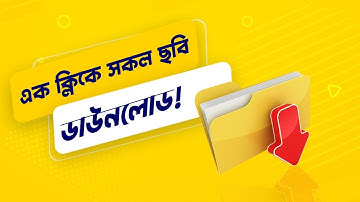 Download All Images Just One Click From Any Website | website image downloader | Freelancer Foysal