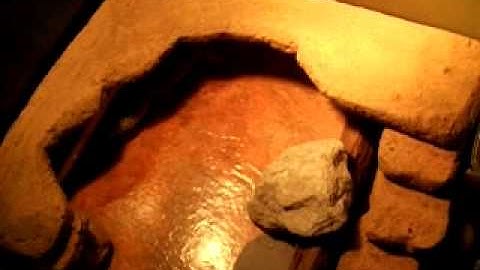 My new leopard gecko set up