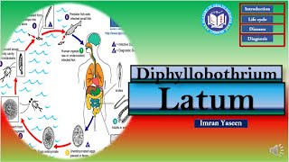 Diphyllobothrium latum- a fish worm causes megaloblastic anemia | Parasitology | by Imran Yaseen