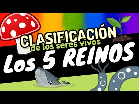 ⚡Los 5 Reinos CARACTERÍSTICAS GENERALES [Margulis] guía de biología unam-ipn-comipems