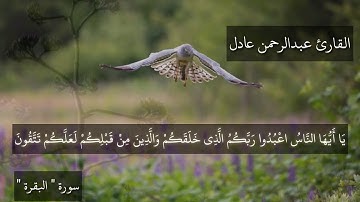 " سورة البقرة " تلاوة رائعة ⁦❤️⁩ | يا ايها الناس اعبدوا ربكم الذى خلقكم القارئ عبدالرحمن عادل