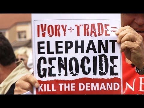 International March For Elephants — video thumbnail