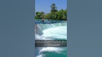 سورة لقمان 11                                                           اكتب شيء تؤجر عليه 🌹