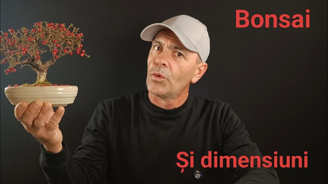 De ce mărimea NU contează !!! • Caracter, proporții și formare corectă