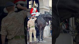 💪TROOPER#shortsviral #horseguards#tourist #shortvideos #kingsguard#history #london #trending #viral