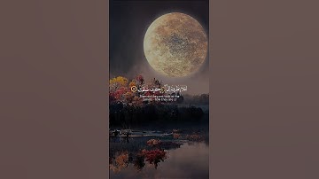 قران كريم راحه نفسيه ارح قلبك #quran #قران_كريم #رمضان_يجمعنا #explore #اكتب_شي_تؤجر_عليه