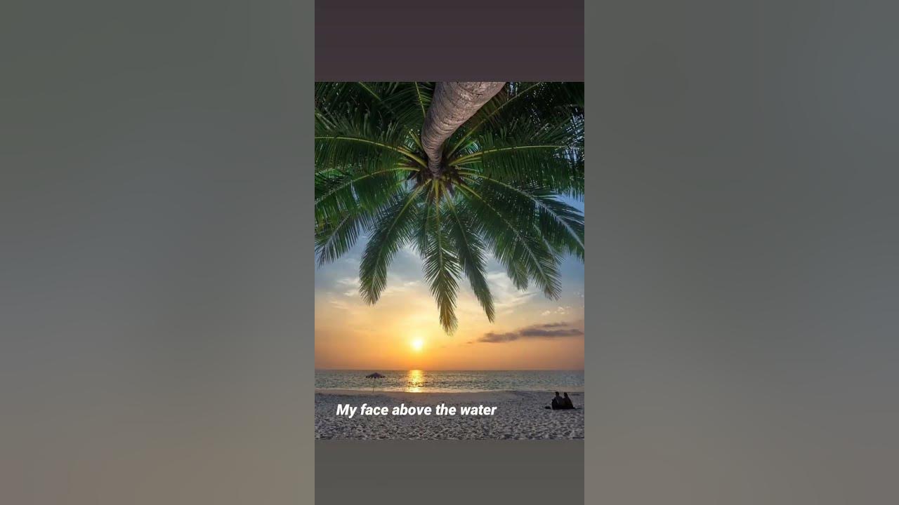 WAVES - Mr. Probz ( Robin Schulz remix) ❤️❤️ Whatsapp Status