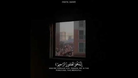أجمل حالات واتس اب قران كريم/ادريس ابكر/مقاطع قران كريم مؤثرة 💚