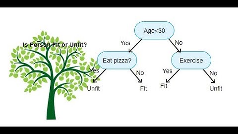 Chapter 6: Classification and Regression Trees (CART): Basics بالعربي شجرة التصنيف والانحدار