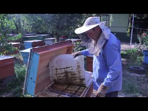 Video: Rojdestvo Ari Kostyumini Qanday To'qish Kerak