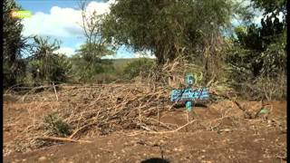 Snakes menace in Baringo County