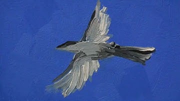 Samson Wrote - "Little Parts" (Official Video)