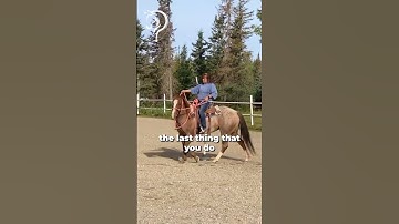 Helping Owner With Her Bucking Horse! Part 19 | The Horse Guru - Michael Gascon