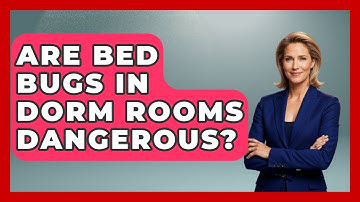 Are Bed Bugs In Dorm Rooms Dangerous? - Insects and Invaders