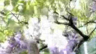 Download Lagu The Beatles Memories MP3 Download Lagu The Beatles Memories MP3