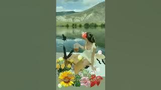 Lagu Nostalgia Indonesia, Trisya Hetharua/Katakanlah sejujurnya