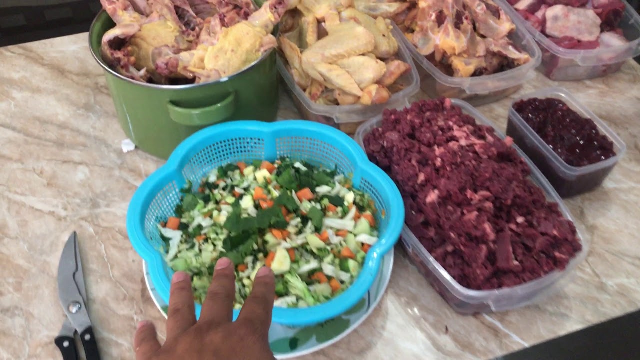 BARF Para cachorros 2 meses y 9 meses