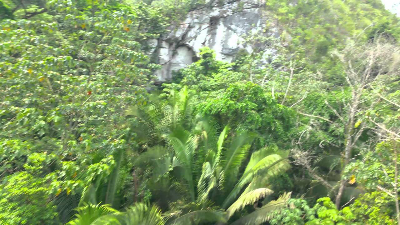 Zip lining through Jaguar Cave in Belize - YouTube
