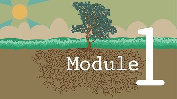 RootsMOOC Module 1 Intro