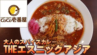 【ココイチ】不思議！でもハマる！柑橘ハーブソースを使った『大人のスパイスカレーTHEエスニックアジア』☆岡崎市プレミアム付き商品券使えてお得♪