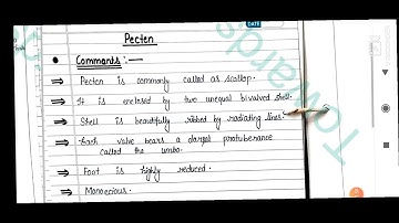 Phylum Mollusca practical file ||Notes ||M.Sc. ||B.Sc.||Non Chordates file
