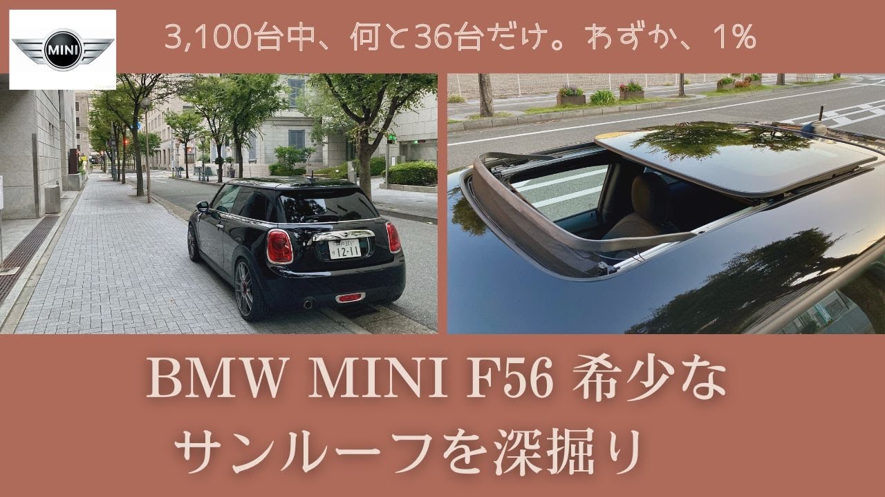 激安価 BMW MINIミニ F54 F55 F56 R60専用 ステップガード トランク