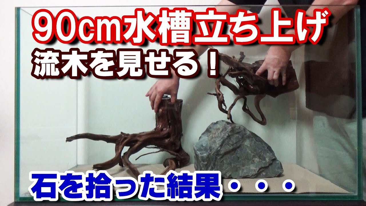 Fun aquarium material collection [Japanese freshwater fish tank 90