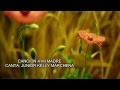 JUNIOR KELLY MARCHENA - CANCION A MI MADRE