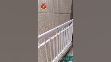 Anti Bird netting services in Gurgaon