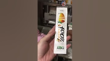 Fruit drink powder 4 lanes bag pouch stick filling sealing packaging machine VFFS equipment