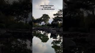 Jeju Island Tidak Sesuai Expektasi  Mau Healing Jadi Hilang 
