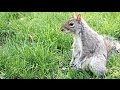 NYートライベッカとグランドセントラル散歩 - Walk around TriBeCa and Grand Central in NYC
