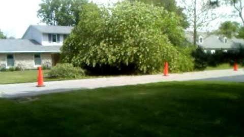 1125 Summit tree removal