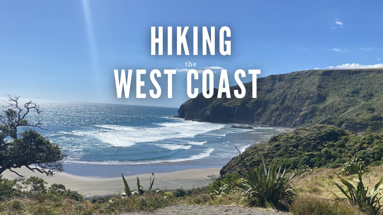TOP THINGS TO DO IN AUCKLAND | TE HENGA WALKWAY