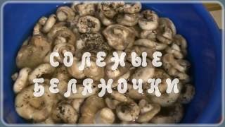 Как солить грибы горячим способом | How to pickle mushrooms hot way Как солить грибы горячим способом | How to pickle mushrooms hot way