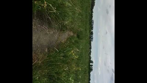 Negative externalities