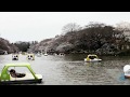 Timelapse Parque Inokashira - 井の頭公園