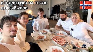 :      .   ,     . #3