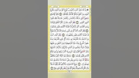 صفحة/١٤٠/ رواية قالون عن نافع/سورة الأنعام/ ابو النور الهادي